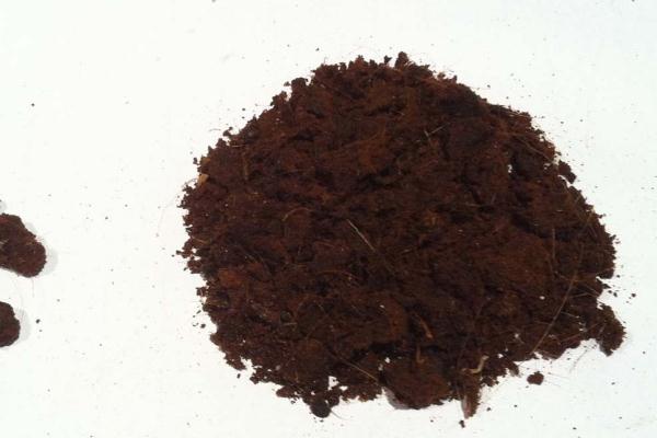 人工麝香會導致流產(chǎn)嗎 人工麝香對孕婦有什么危害 人工麝香會導致流產(chǎn)嗎 人工麝香對孕婦有什么危害