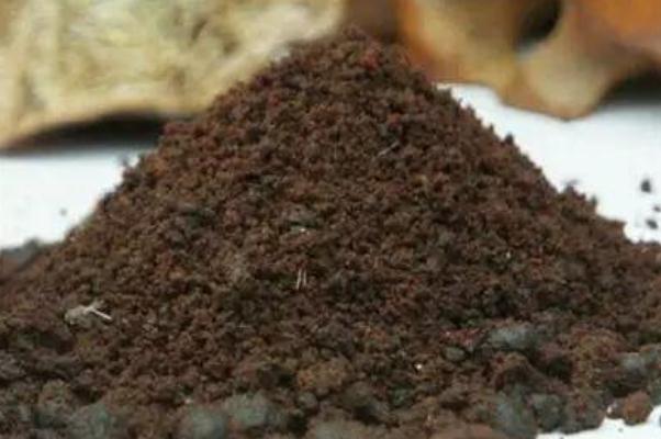 人工麝香會導致流產(chǎn)嗎 人工麝香對孕婦有什么危害 人工麝香會導致流產(chǎn)嗎 人工麝香對孕婦有什么危害