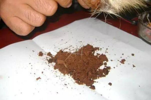 人工麝香會導致流產(chǎn)嗎 人工麝香對孕婦有什么危害 人工麝香會導致流產(chǎn)嗎 人工麝香對孕婦有什么危害