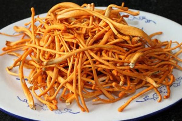 蟲(chóng)草花有點(diǎn)發(fā)黑了還能吃嗎 蟲(chóng)草花有毒嗎