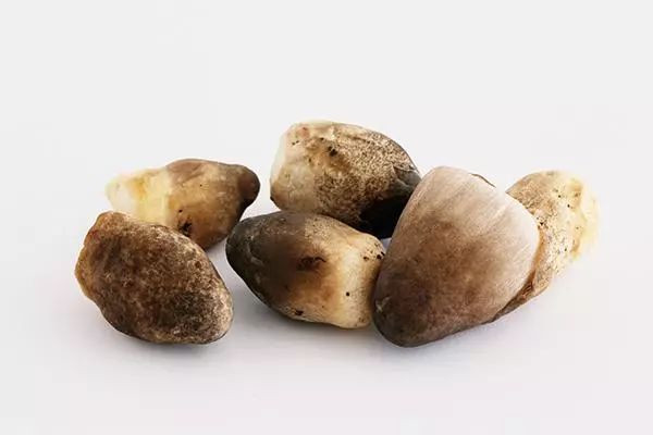 草菇孕婦能不能吃 草菇孕婦吃有什么好處 草菇孕婦能不能吃 草菇孕婦吃有什么好處