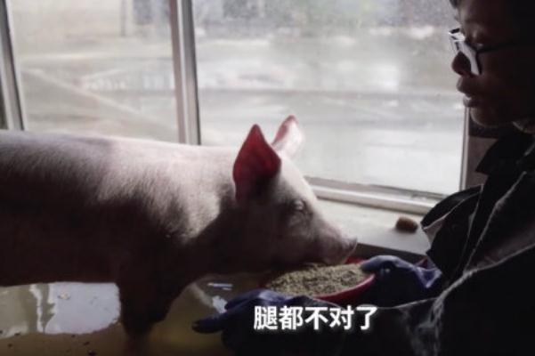 洪災(zāi)會(huì)造成什么 為什么洪澇災(zāi)害后會(huì)有瘟疫 洪災(zāi)會(huì)造成什么 為什么洪澇災(zāi)害后會(huì)有瘟疫