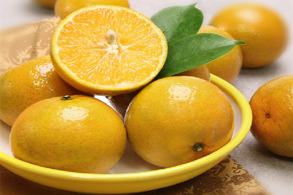 皇帝柑怎么挑選 皇帝柑能放冰箱里嗎 皇帝柑怎么挑選 皇帝柑能放冰箱里嗎
