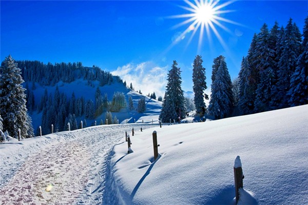 冬季補(bǔ)什么的好季節(jié) 冬季是補(bǔ)陽氣還是補(bǔ)陰 冬季補(bǔ)什么的好季節(jié) 冬季是補(bǔ)陽氣還是補(bǔ)陰