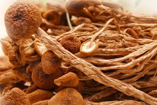 茶樹菇要洗嗎 茶樹菇有點發(fā)霉了還能吃嗎 茶樹菇要洗嗎 茶樹菇有點發(fā)霉了還能吃嗎