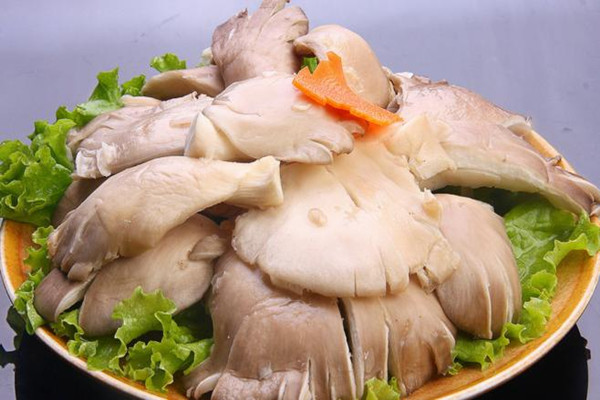 平菇什么樣的才新鮮 平菇怎么看是否變質(zhì) 平菇什么樣的才新鮮 平菇怎么看是否變質(zhì)