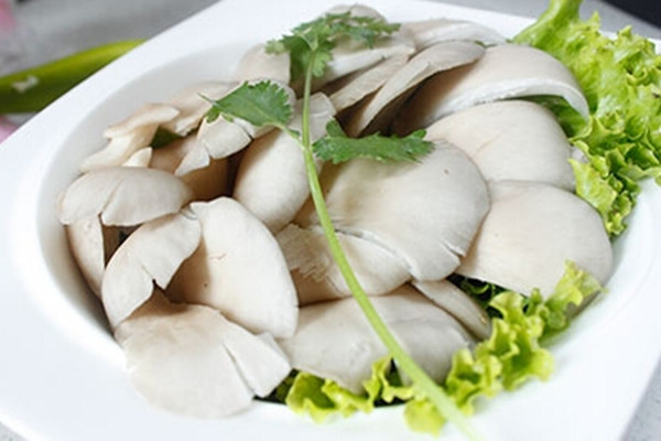 平菇如何挑選 平菇如何保存 平菇如何挑選 平菇如何保存