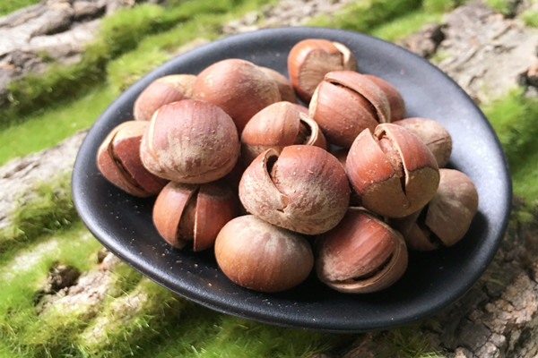 榛子能空腹吃嗎 榛子什么時(shí)間吃最好 榛子能空腹吃嗎 榛子什么時(shí)間吃最好