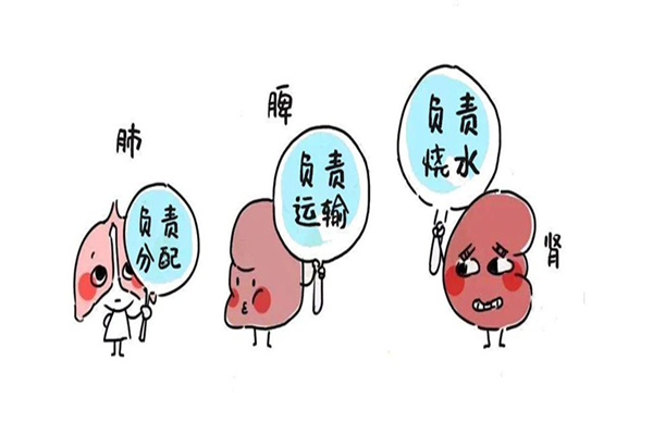 氣血不足會(huì)導(dǎo)致脫發(fā)嗎 氣血不足對身體造成哪些影響 氣血不足會(huì)導(dǎo)致脫發(fā)嗎 氣血不足對身體造成哪些影響