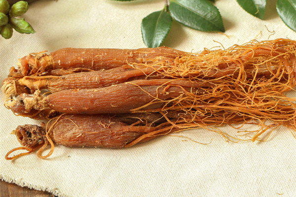 紅參能泡酒嗎 紅參泡酒的功效與作用 紅參能泡酒嗎 紅參泡酒的功效與作用