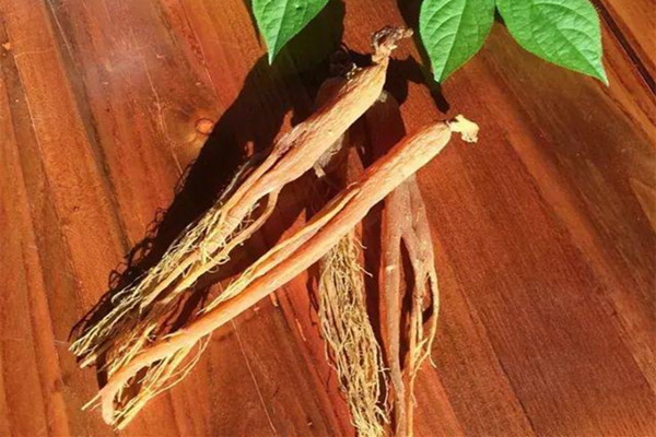 紅參能泡酒嗎 紅參泡酒的功效與作用 紅參能泡酒嗎 紅參泡酒的功效與作用