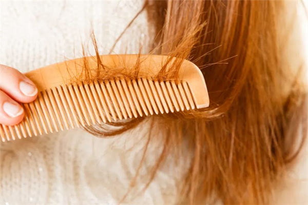 頭發(fā)有分叉會(huì)不會(huì)影響頭發(fā)的生長(zhǎng) 頭發(fā)有分叉的原因