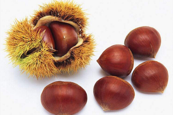 板栗的營養(yǎng)價值高嗎 板栗對身體有哪些好處
