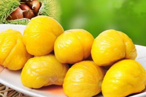 板栗可以放冰箱冷藏嗎 板栗可以放冰箱冷藏多久 板栗可以放冰箱冷藏嗎 板栗可以放冰箱冷藏多久