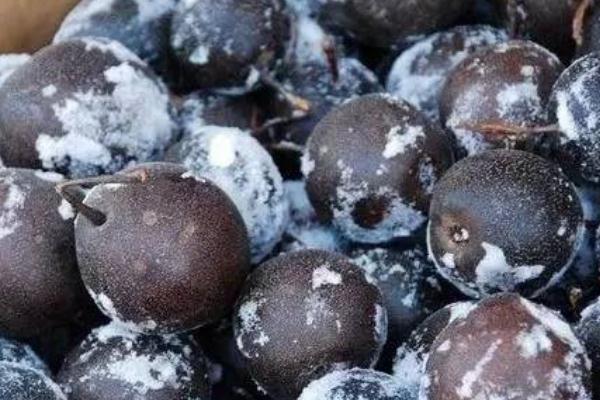 凍梨的熱量 凍梨減肥可以吃嗎 凍梨的熱量 凍梨減肥可以吃嗎