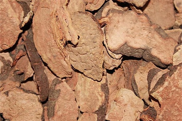 何首烏有毒嗎 何首烏中毒什么癥狀 何首烏有毒嗎 何首烏中毒什么癥狀