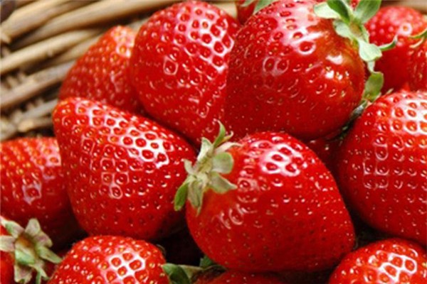 牛奶草莓是用牛奶澆出來的嗎 牛奶草莓是奶油草莓的一種嗎 牛奶草莓是用牛奶澆出來的嗎 牛奶草莓是奶油草莓的一種嗎