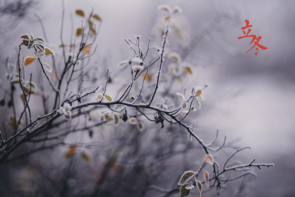 立冬是幾月幾日2021 立冬之后是什么節(jié)氣