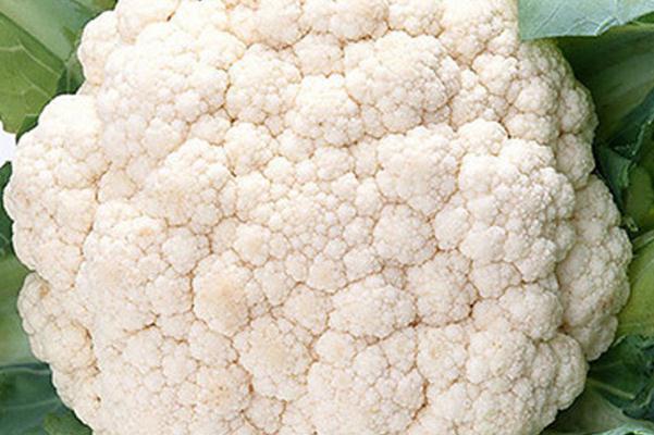 吃花椰菜容易脹氣嗎 吃花菜的注意事項(xiàng) 吃花椰菜容易脹氣嗎 吃花菜的注意事項(xiàng)