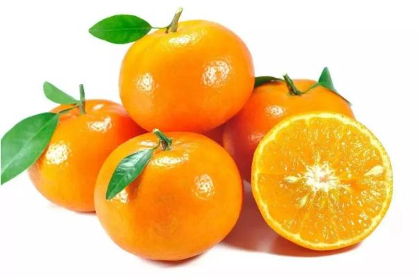 沃柑幾月份成熟上市 沃柑的功效與作用 沃柑幾月份成熟上市 沃柑的功效與作用