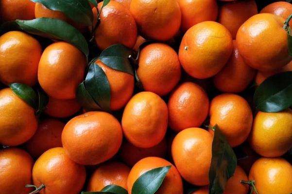 沃柑的營(yíng)養(yǎng)成分 沃柑的分級(jí) 沃柑的營(yíng)養(yǎng)成分 沃柑的分級(jí)