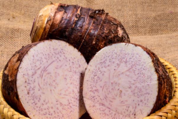 芋頭的熱量和減肥功效 芋頭的營(yíng)養(yǎng)成分 芋頭的熱量和減肥功效 芋頭的營(yíng)養(yǎng)成分