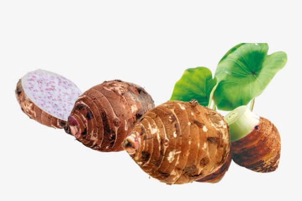 芋頭的熱量和減肥功效 芋頭的營(yíng)養(yǎng)成分 芋頭的熱量和減肥功效 芋頭的營(yíng)養(yǎng)成分