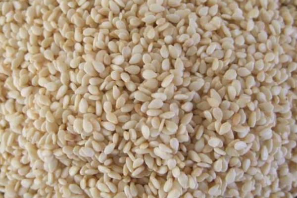 白芝麻會上火嗎 白芝麻會發(fā)胖嗎 白芝麻會上火嗎 白芝麻會發(fā)胖嗎