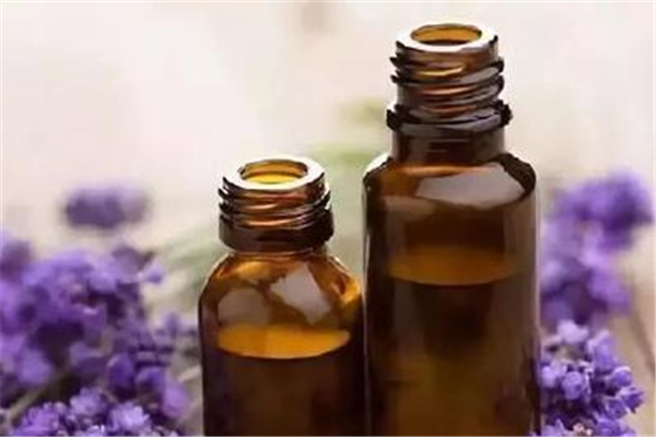 薰衣草精油和什么基礎(chǔ)油搭配 薰衣草精油為什么不能直接涂 薰衣草精油和什么基礎(chǔ)油搭配 薰衣草精油為什么不能直接涂