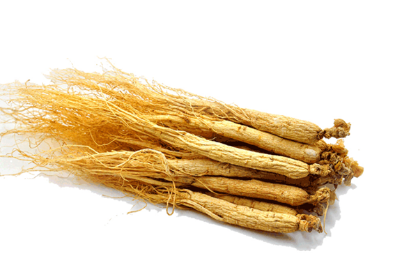 長白山人參是涼性還是熱性 長白山人參有什么功效 長白山人參是涼性還是熱性 長白山人參有什么功效