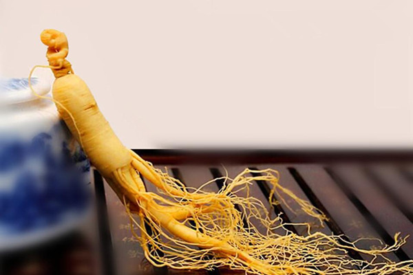 長白山人參是涼性還是熱性 長白山人參有什么功效 長白山人參是涼性還是熱性 長白山人參有什么功效