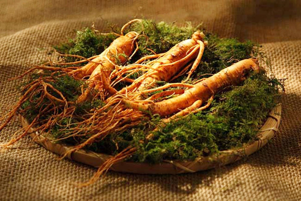 長白山人參什么時(shí)候吃最好 長白山人參可以怎么吃 長白山人參什么時(shí)候吃最好 長白山人參可以怎么吃