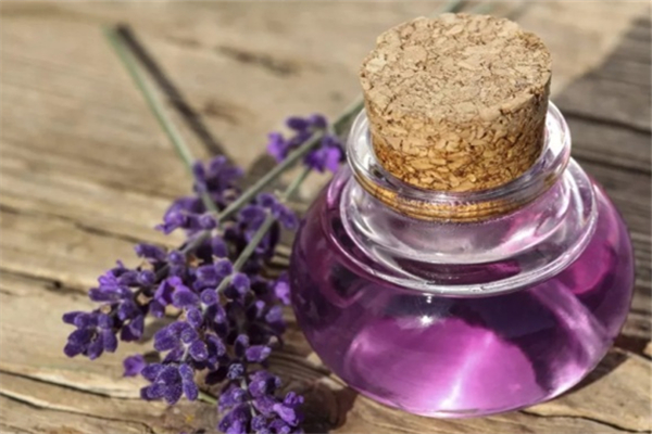 薰衣草精油和什么基礎(chǔ)油搭配 薰衣草精油為什么不能直接涂 薰衣草精油和什么基礎(chǔ)油搭配 薰衣草精油為什么不能直接涂