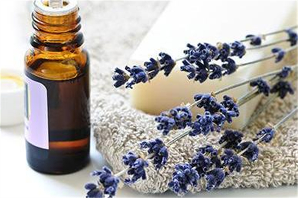 薰衣草精油適合敏感肌嗎 薰衣草精油適合什么皮膚 薰衣草精油適合敏感肌嗎 薰衣草精油適合什么皮膚