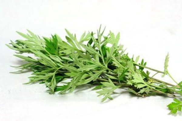 艾葉可以用來(lái)做枕頭嗎 艾葉做枕頭有什么功效 艾葉可以用來(lái)做枕頭嗎 艾葉做枕頭有什么功效