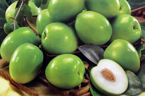 牛奶棗有點澀怎么處理 新鮮牛奶棗怎么保存 牛奶棗有點澀怎么處理 新鮮牛奶棗怎么保存