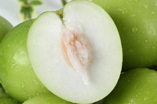 牛奶棗孕婦血糖高可以吃嗎 牛奶棗孕婦可以多吃嗎 牛奶棗孕婦血糖高可以吃嗎 牛奶棗孕婦可以多吃嗎