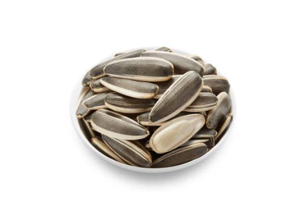 葵瓜子是種子還是果實 葵瓜子是發(fā)性食物嗎 葵瓜子是種子還是果實 葵瓜子是發(fā)性食物嗎