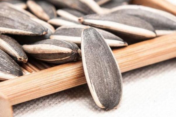 葵瓜子是種子還是果實 葵瓜子是發(fā)性食物嗎 葵瓜子是種子還是果實 葵瓜子是發(fā)性食物嗎