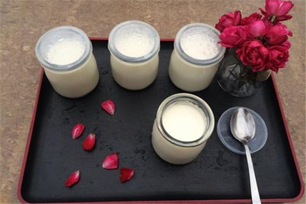 酸奶用什么奶做最好 酸奶用什么菌發(fā)酵 酸奶用什么奶做最好 酸奶用什么菌發(fā)酵