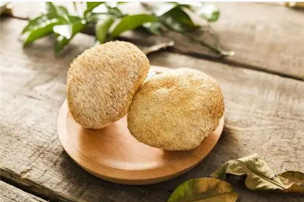 猴頭菇有苦味是什么原因 猴頭菇苦能吃嗎 猴頭菇有苦味是什么原因 猴頭菇苦能吃嗎