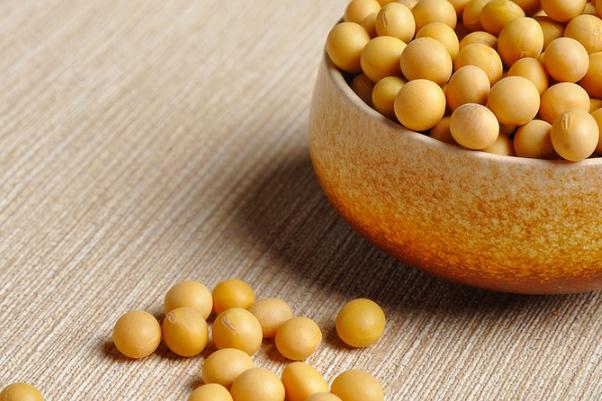 黃豆有黃體酮嗎 吃黃豆可以補(bǔ)黃體酮嗎 黃豆有黃體酮嗎 吃黃豆可以補(bǔ)黃體酮嗎