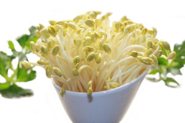 豆芽是什么季節(jié)的菜 豆芽是用什么豆發(fā)出來(lái)的 豆芽是什么季節(jié)的菜 豆芽是用什么豆發(fā)出來(lái)的