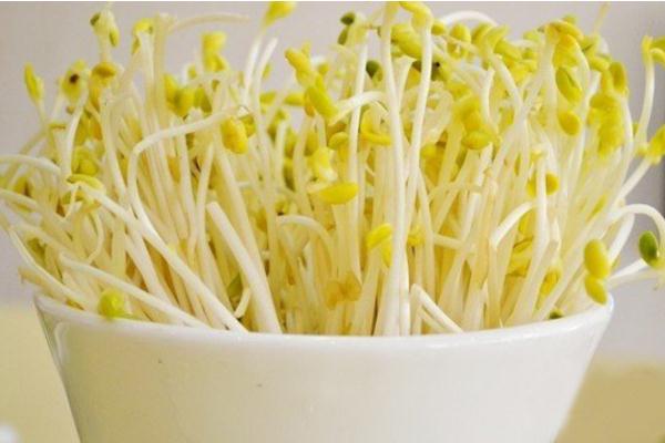 豆芽是什么季節(jié)的菜 豆芽是用什么豆發(fā)出來(lái)的 豆芽是什么季節(jié)的菜 豆芽是用什么豆發(fā)出來(lái)的