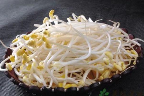 豆芽孕婦可以吃嗎 豆芽孕婦吃了有什么好處 豆芽孕婦可以吃嗎 豆芽孕婦吃了有什么好處