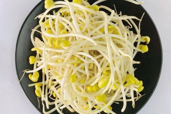 黃豆芽對肝臟有好處嗎 黃豆芽對糖尿病人有什么好處 黃豆芽對肝臟有好處嗎 黃豆芽對糖尿病人有什么好處