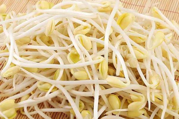 黃豆芽對肝臟有好處嗎 黃豆芽對糖尿病人有什么好處 黃豆芽對肝臟有好處嗎 黃豆芽對糖尿病人有什么好處
