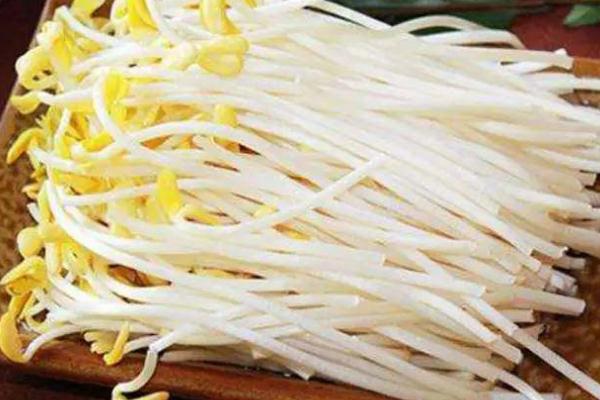 黃豆芽沒(méi)煮熟會(huì)中毒嗎 黃豆芽嘌呤高嗎 黃豆芽沒(méi)煮熟會(huì)中毒嗎 黃豆芽嘌呤高嗎