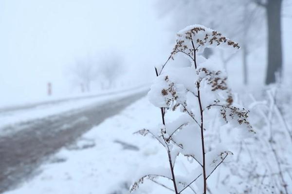 寒潮可以帶來什么 今冬第四輪大范圍寒潮來了 寒潮可以帶來什么 今冬第四輪大范圍寒潮來了