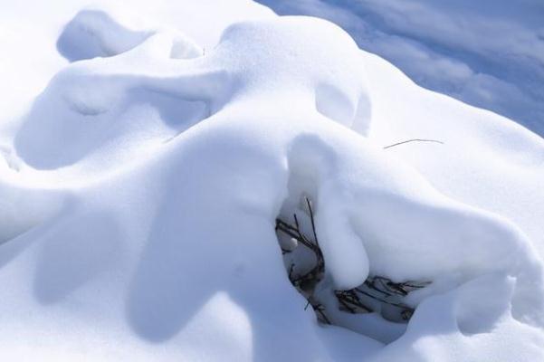 寒潮可以帶來什么 今冬第四輪大范圍寒潮來了 寒潮可以帶來什么 今冬第四輪大范圍寒潮來了